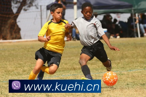 App Interface Preview